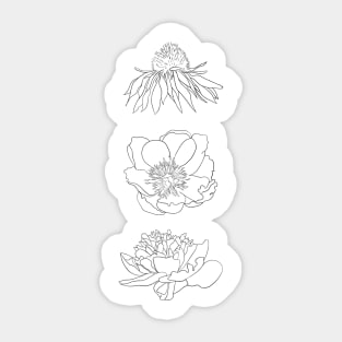 Hand Drawn Flowers Sticker